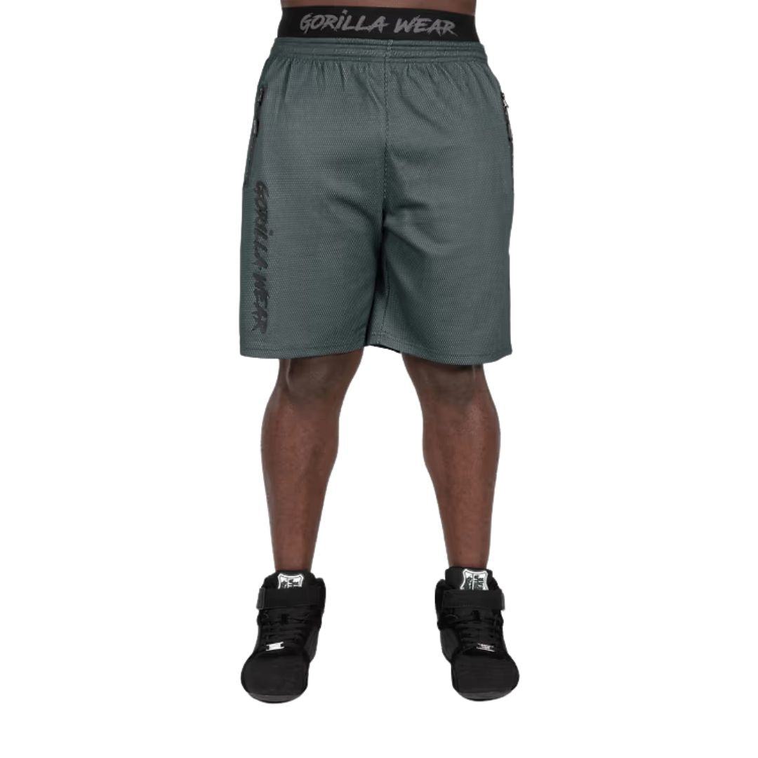 Mercury Mesh Shorts
