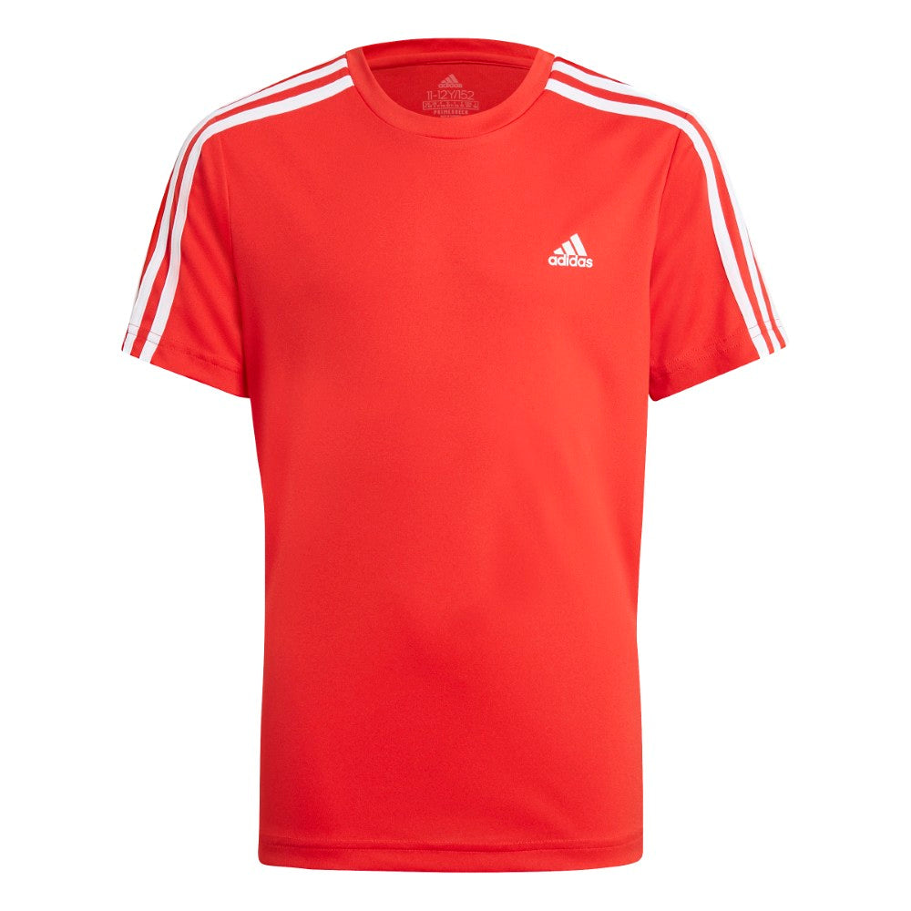 Designed To Move Tee And Shorts Set