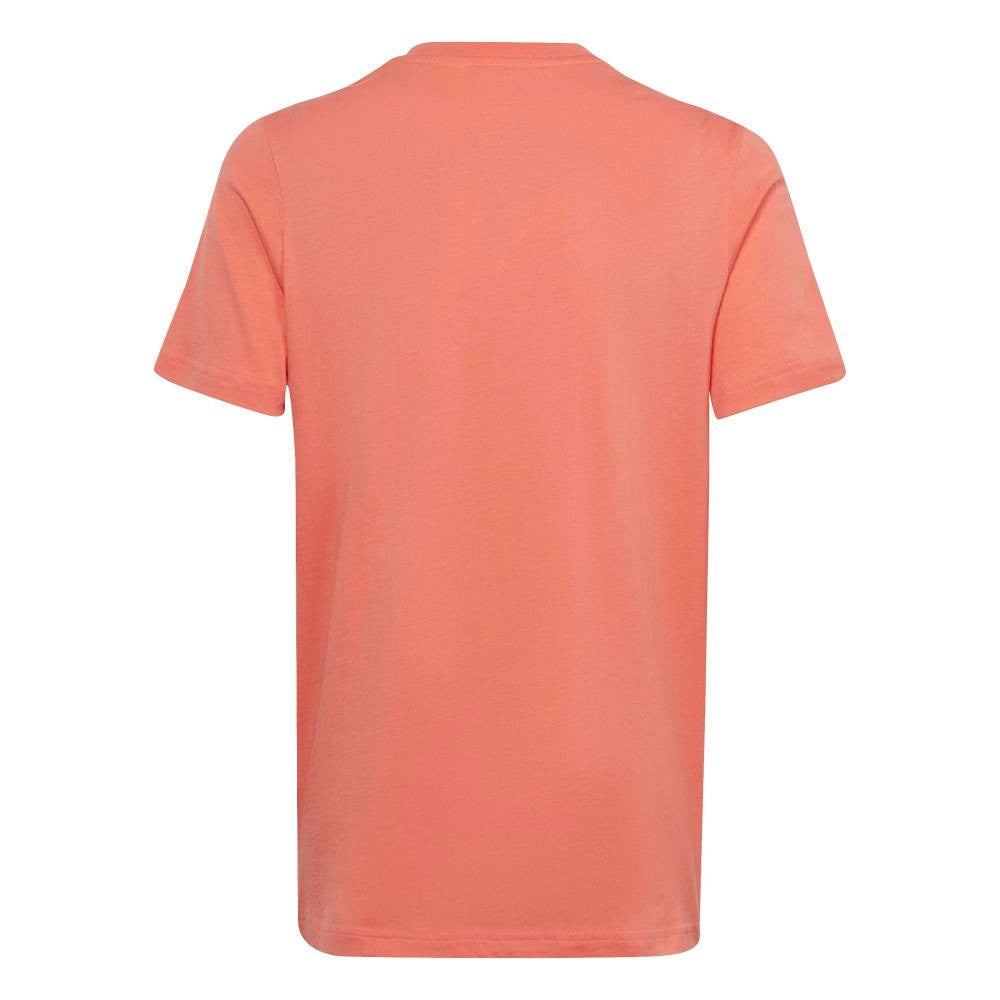 Essentials Big Logo Cotton T-Shirt