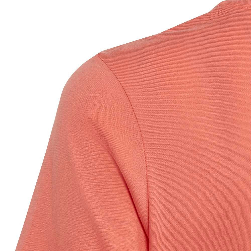 Essentials Big Logo Cotton T-Shirt