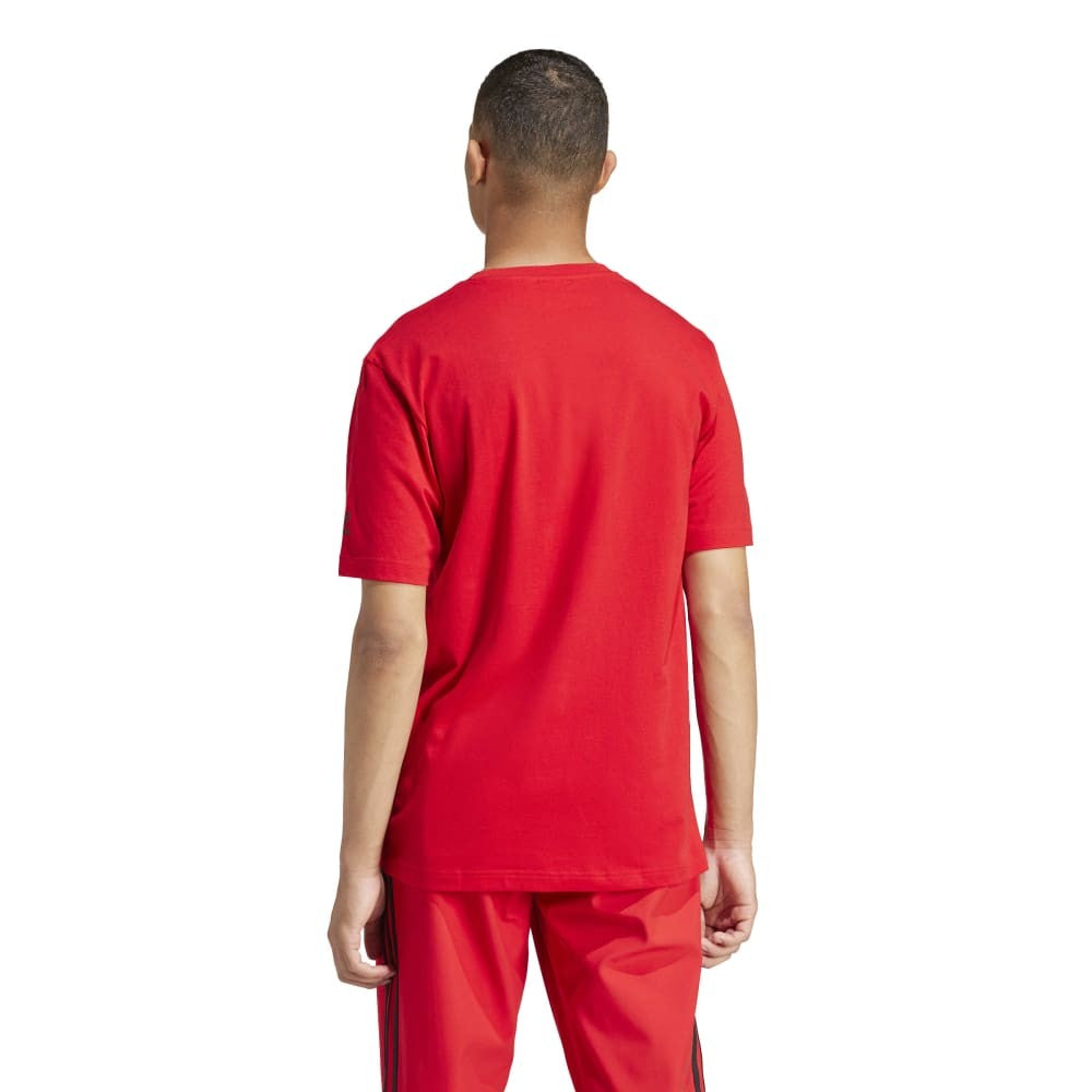 Graphic Short Sleeve T-Shirt