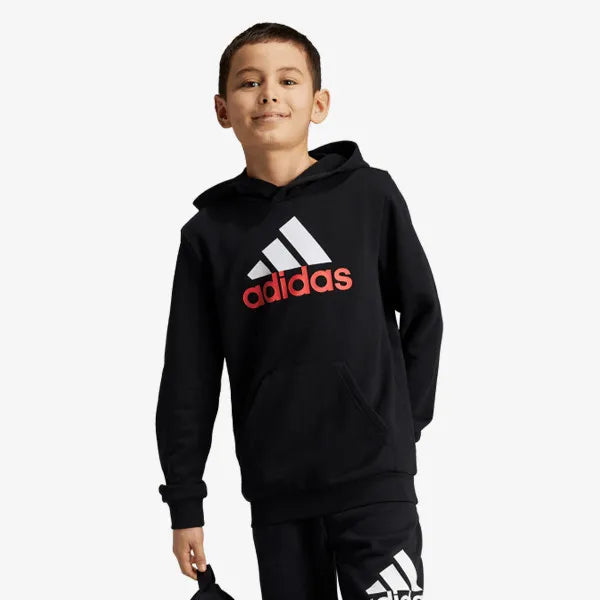 Essentials Two-Colored Big Logo Cotton Hoodie