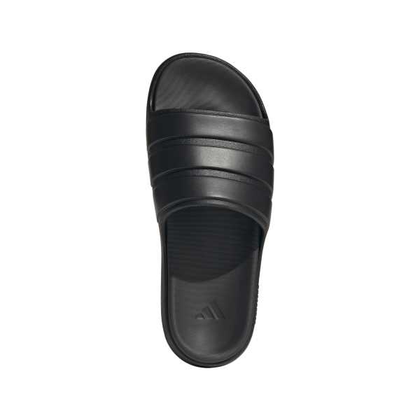 Znsory Slides