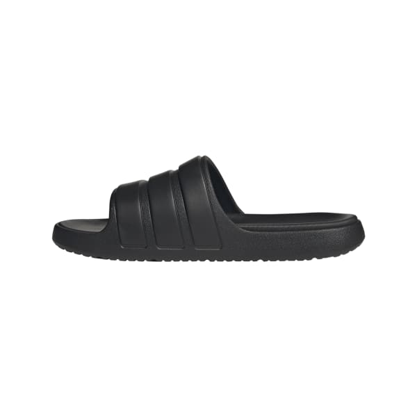 Znsory Slides