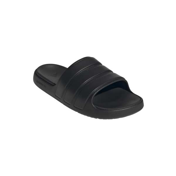 Znsory Slides