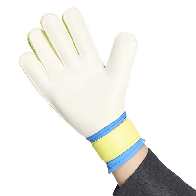 Predator Goalkeeper Glove Training