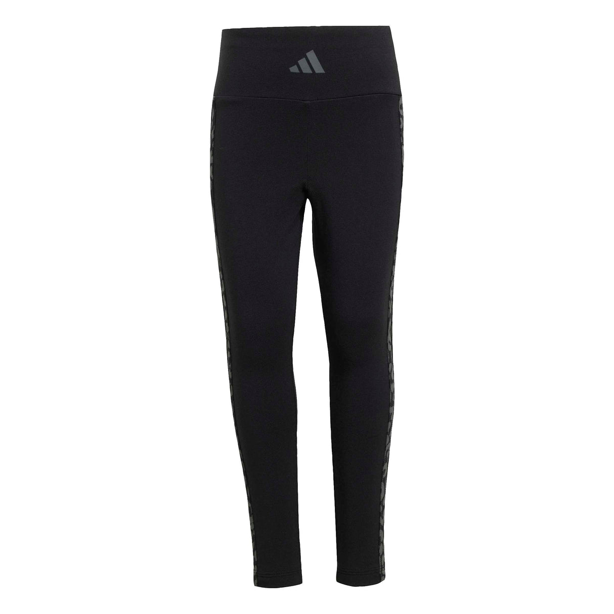 CONJUNTO SEASONALS ANIMAL