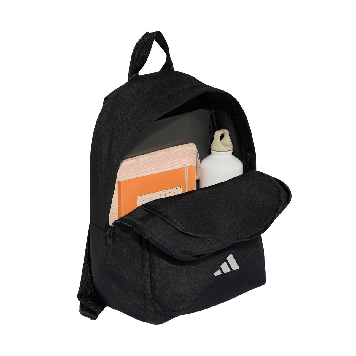 Ess Xs Bp