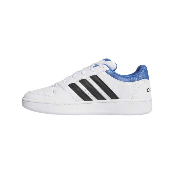 Hoops Classic Shoes