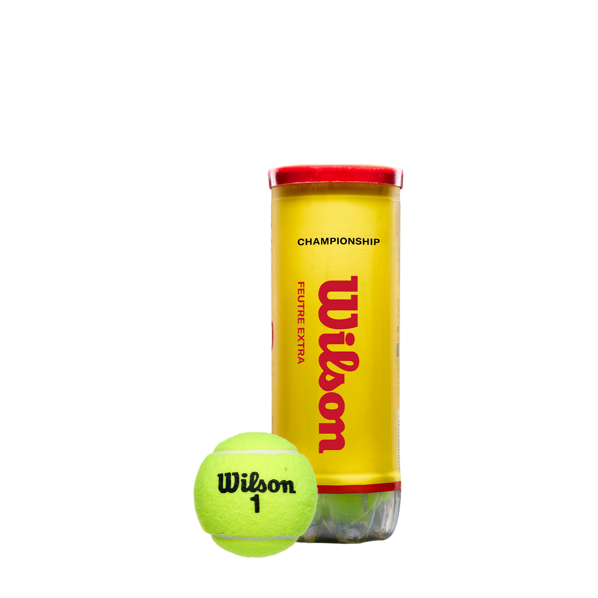 Championship Extra Duty Tennis 3 Ball Can