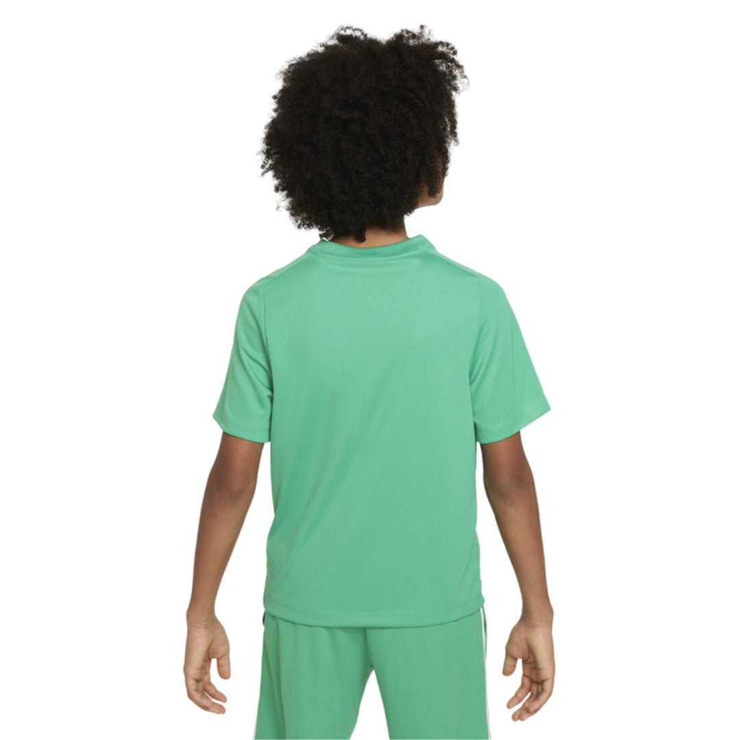 Multi Dri-Fit Graphic Training Top