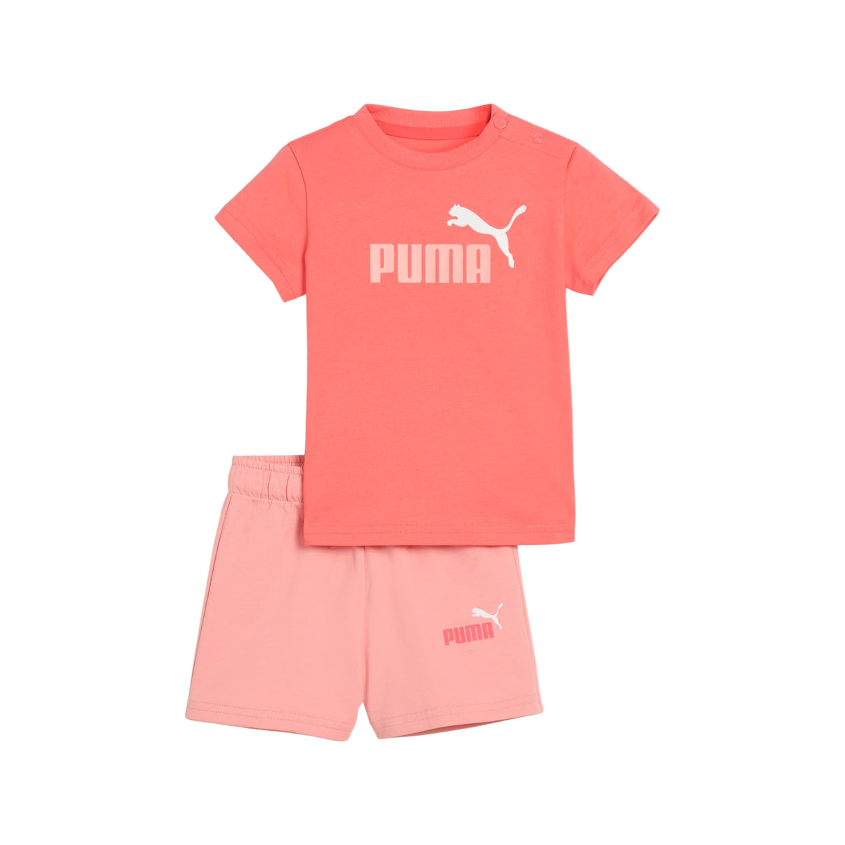 Minicats Essentials Tee And Shorts Set Toddler