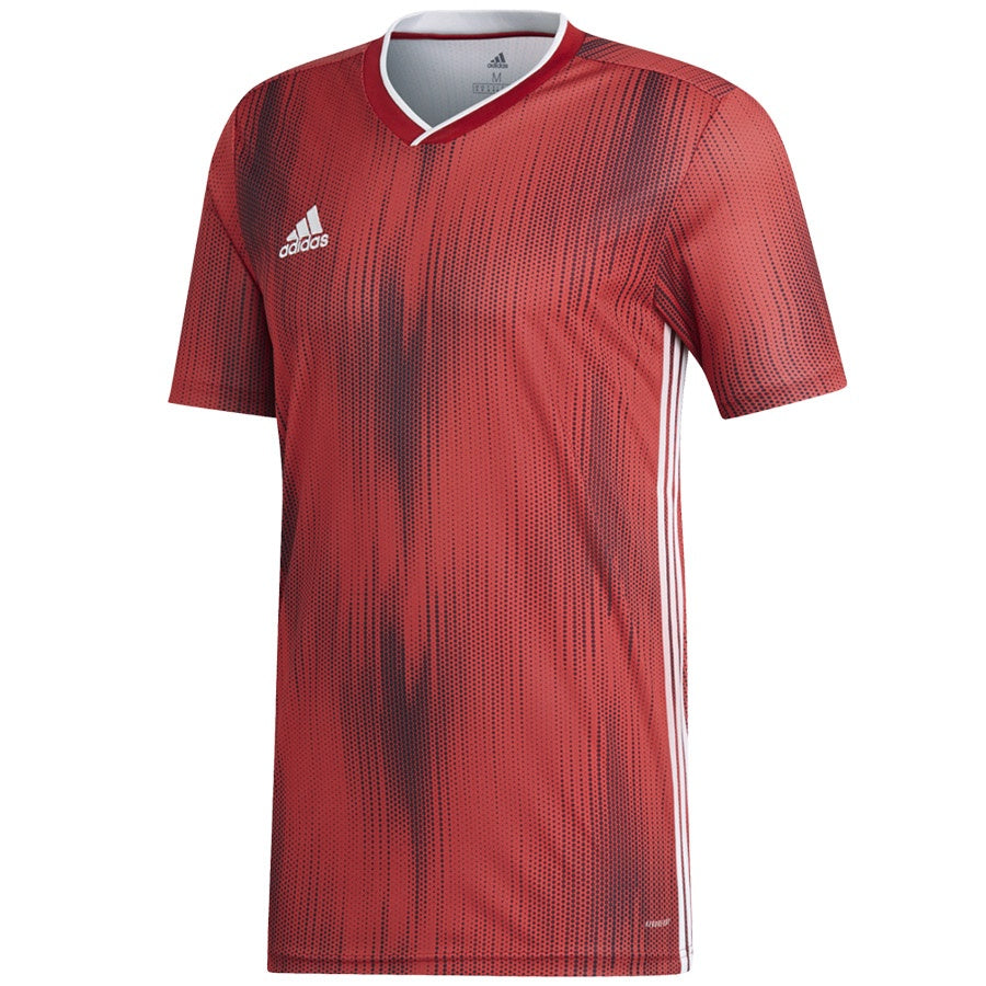 تيرو 19 جيه إس واي