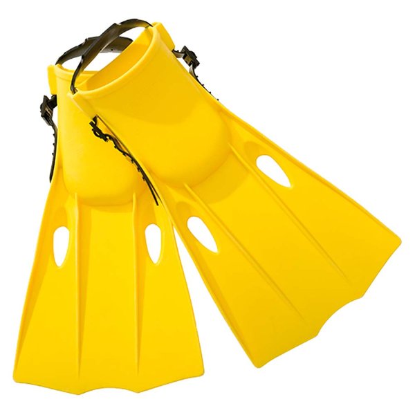 زعانف السباحة الصغيرة من إنتكس