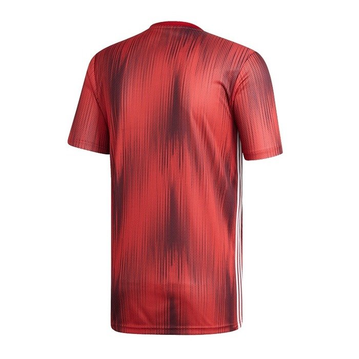 تيرو 19 جيه إس واي