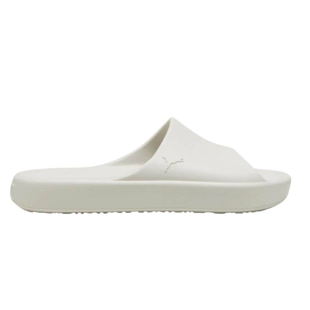 قطة شيبوي بخار رمادي