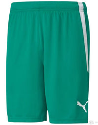 teamLIGA Shorts Pepper Green-Puma White
