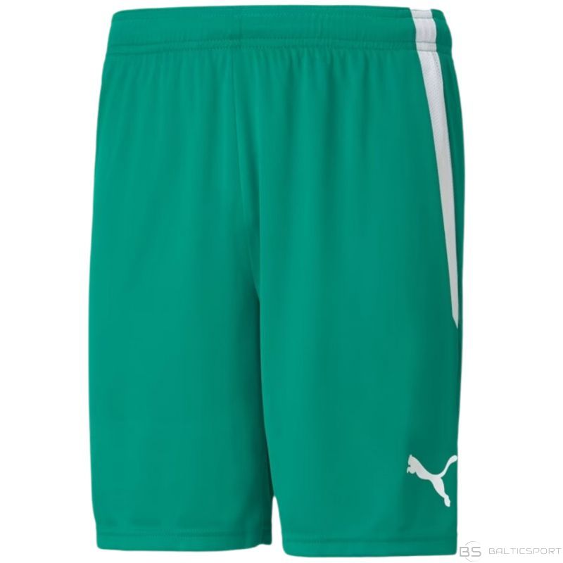 teamLIGA Shorts Pepper Green-Puma White