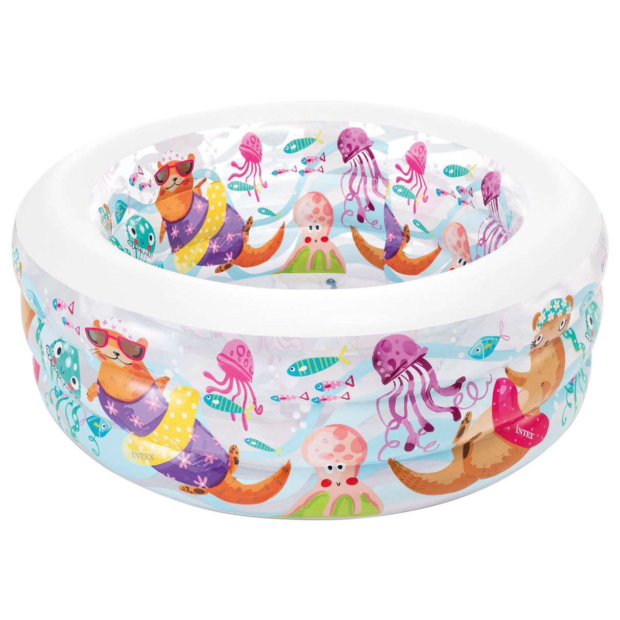 Aquarium Swimming Pool  Ages 6+