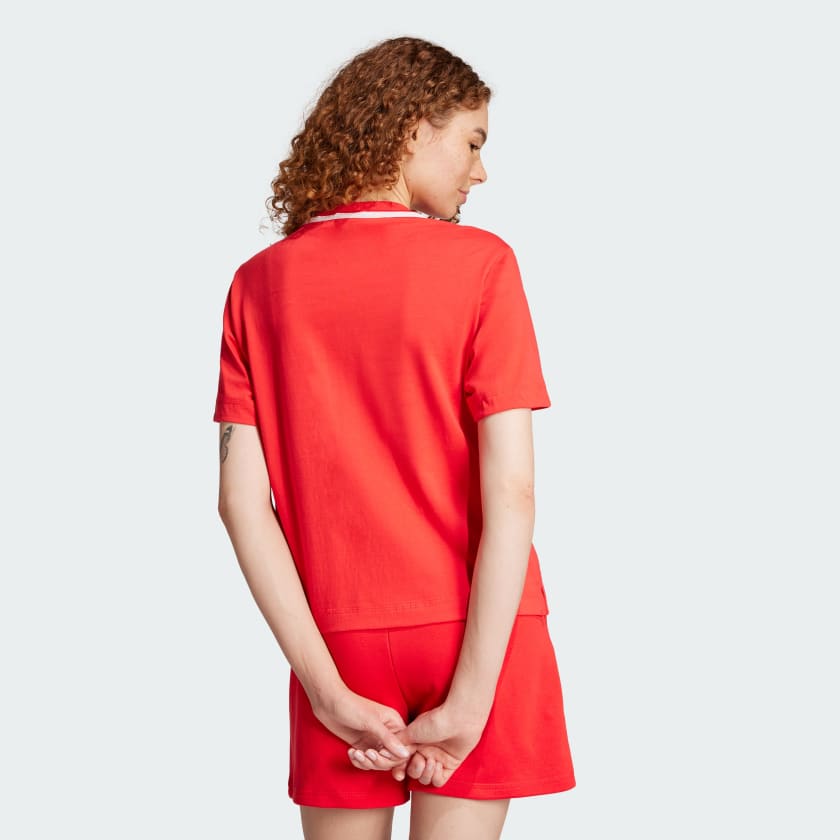 دبليو سي بي تي