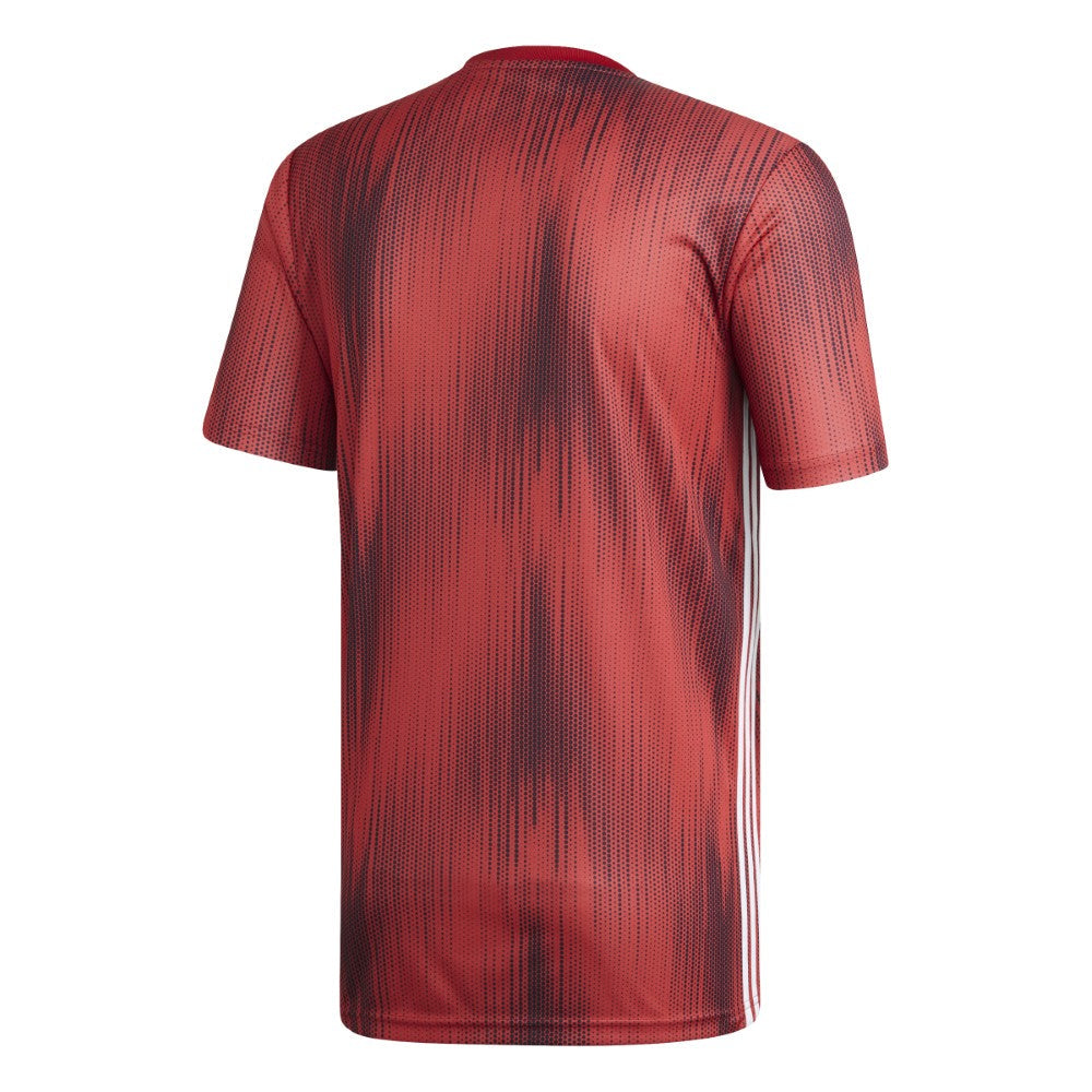 تيرو 19 جيه إس واي