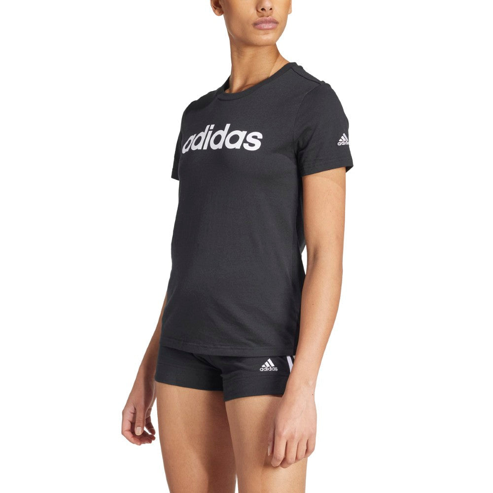 دبليو لين تي