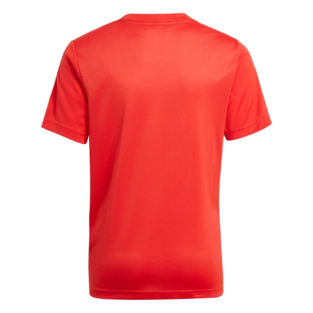 Designed To Move Tee And Shorts Set