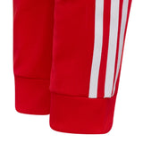 Adicolor Sst Track Pants