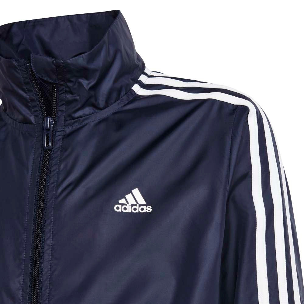 جامعة غرب فيرجينيا TS