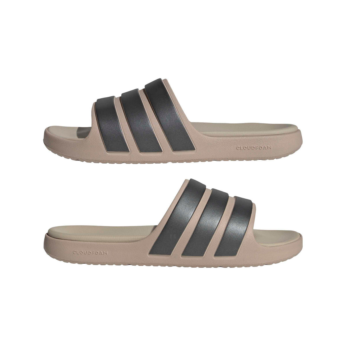 Znsory Slides