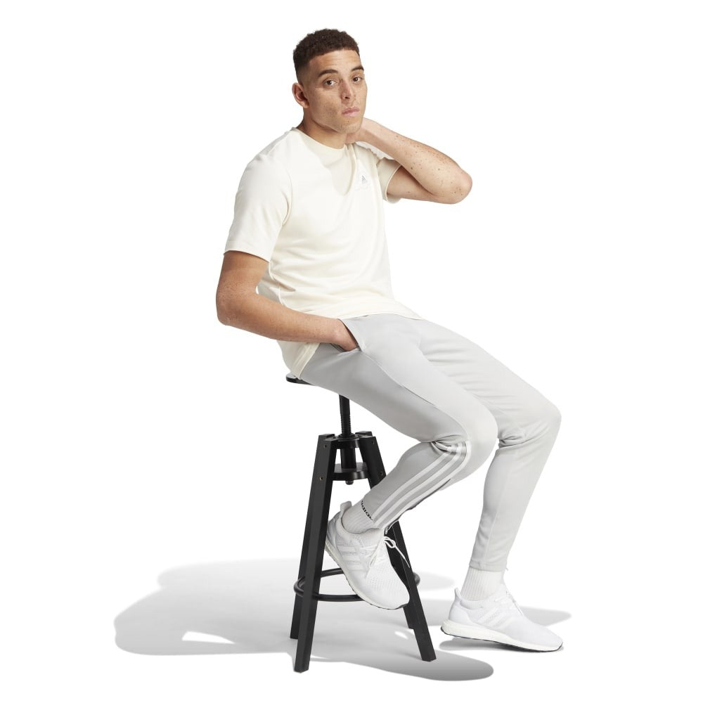 م سيرينو بي تي