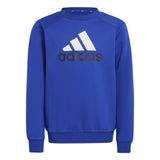 Essentials Big Logo Fleece Jogger Set Kids