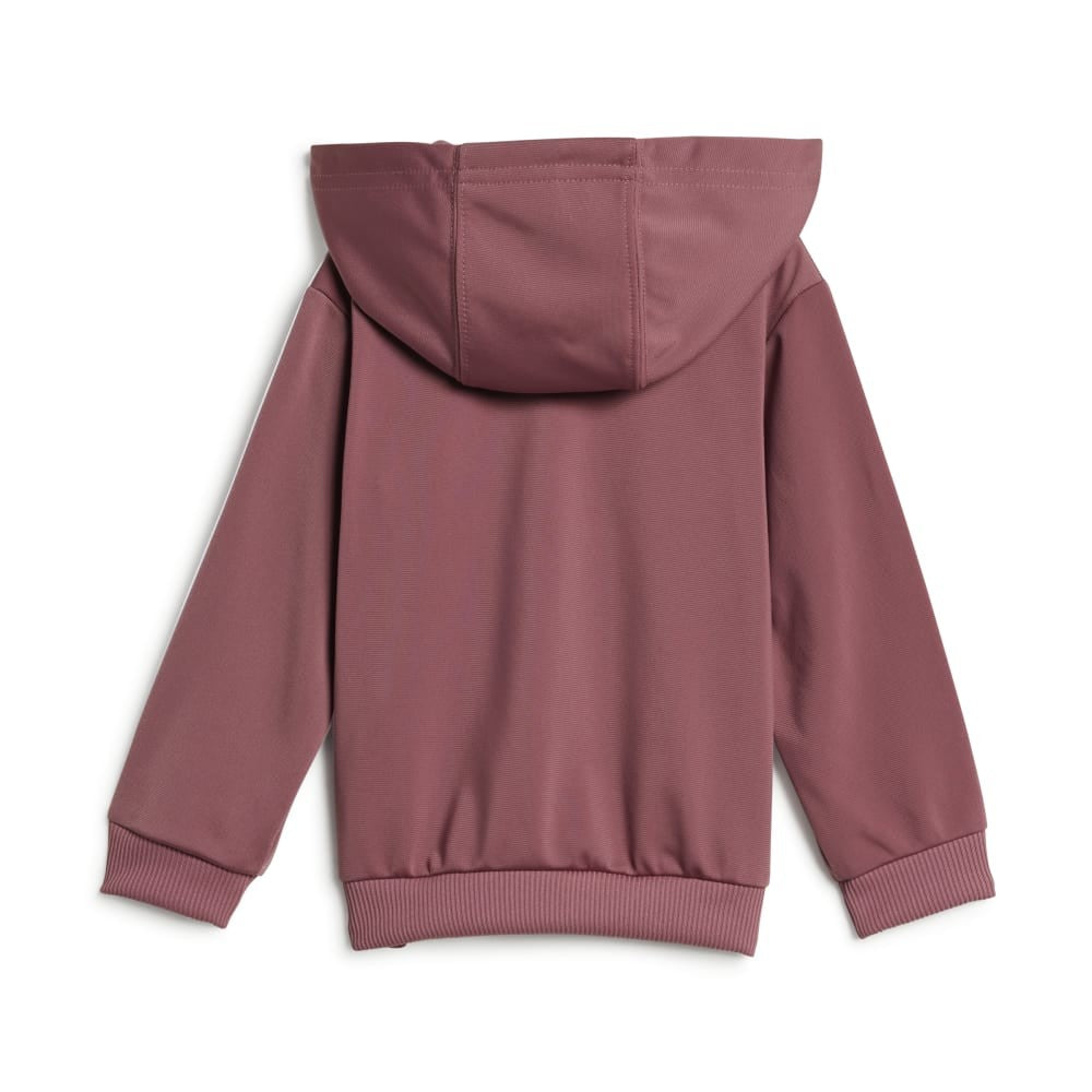 Essentials Shiny Hooded Track Suit