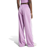 فايربيرد تي بي