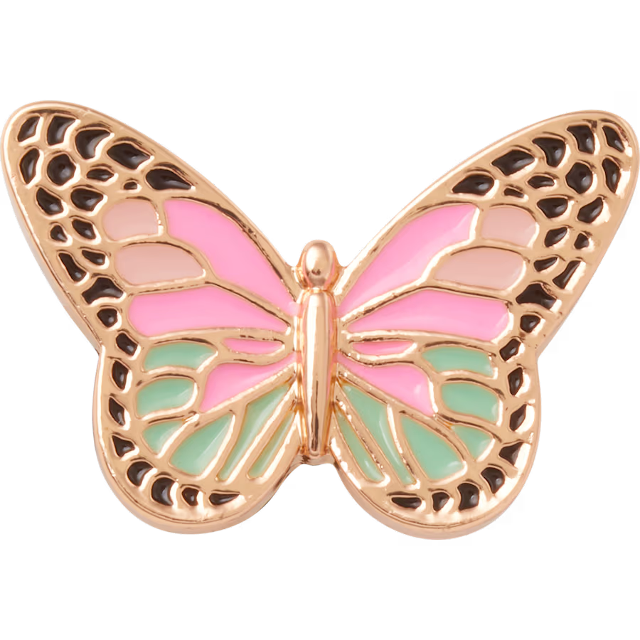 Elevated Colorful Butterfly