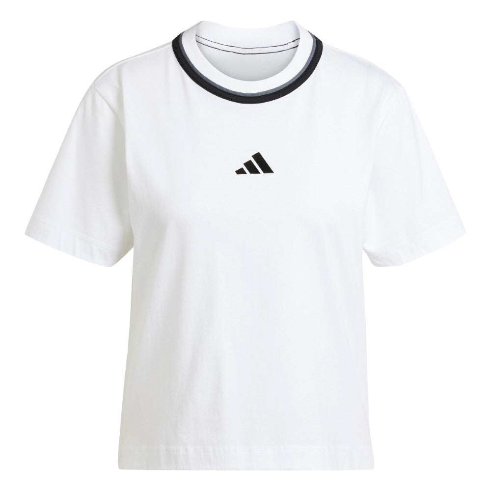 دبليو سي بي تي