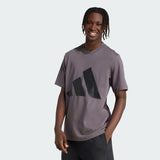 م بي إل إس جيه تي