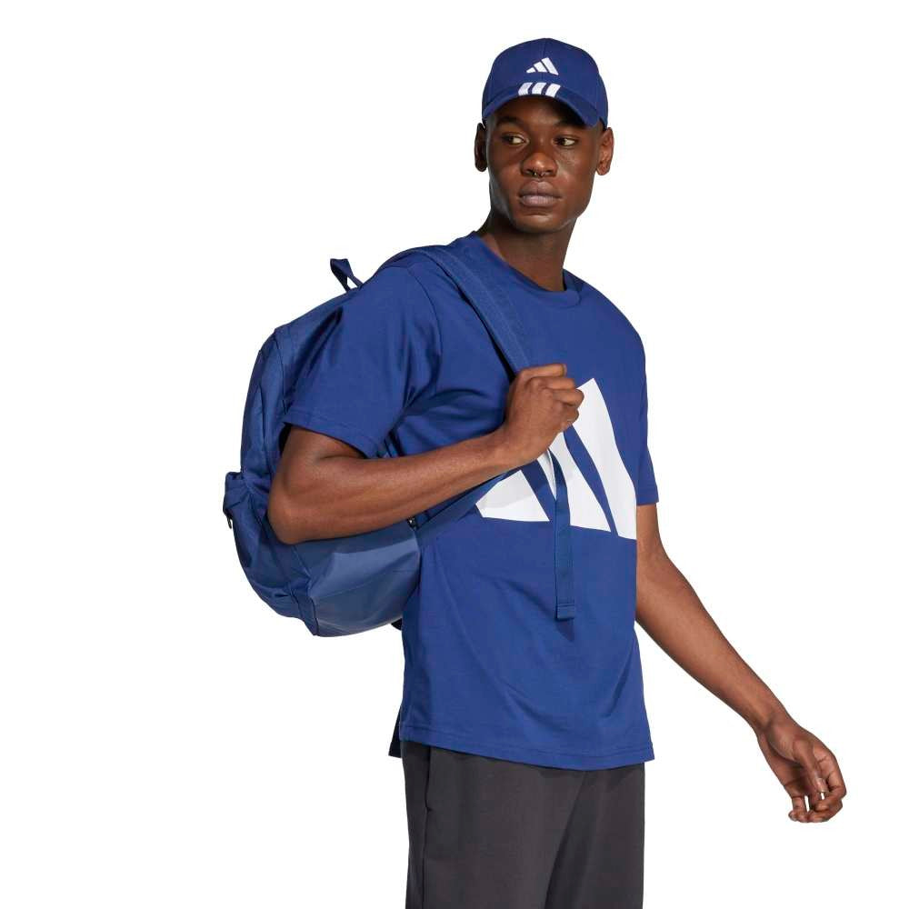 م بي إل إس جيه تي