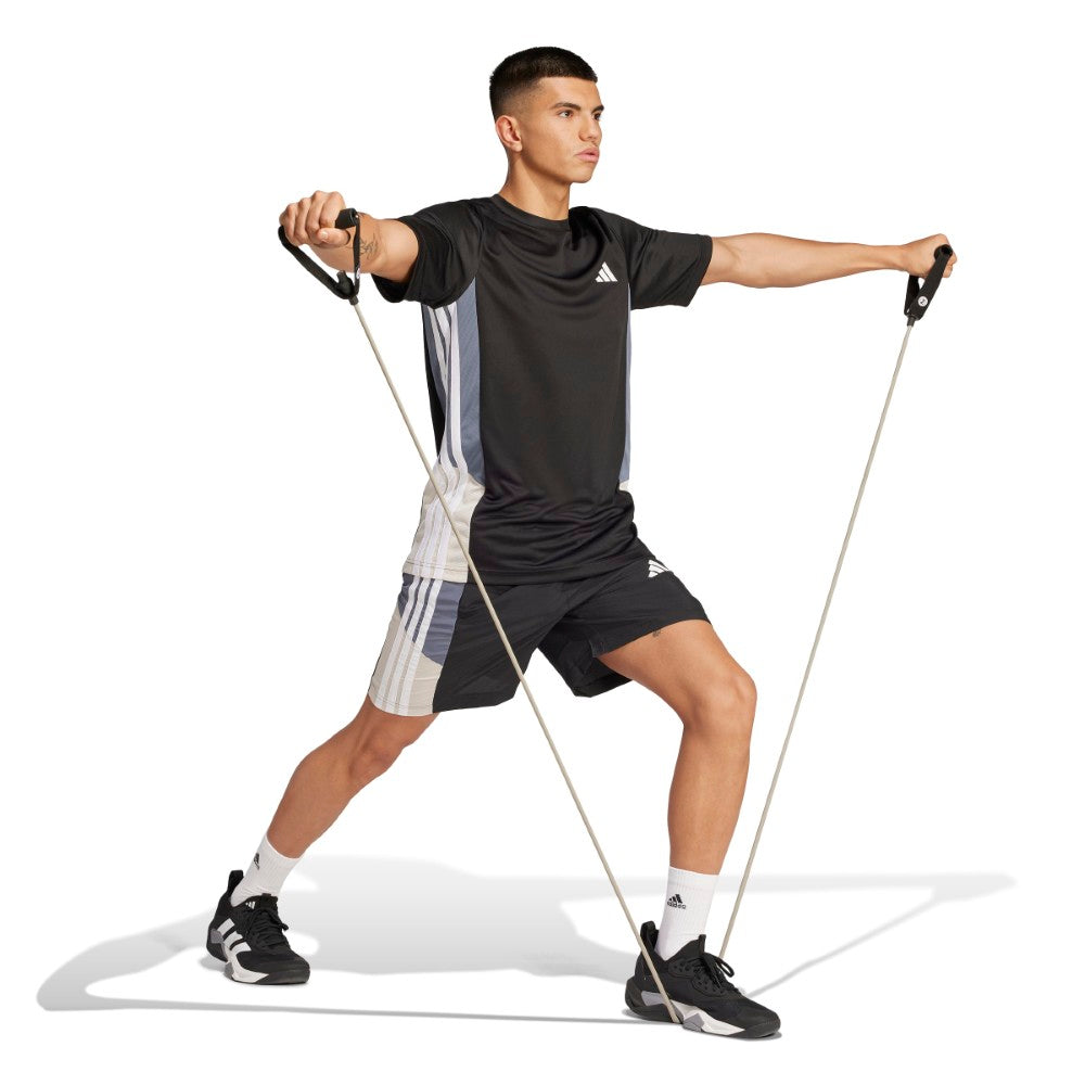 Train Essentials Seasonal Colorblock Shorts