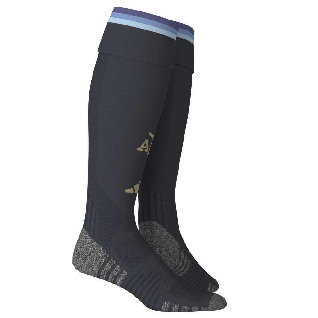 Argentina 26 Home Socks