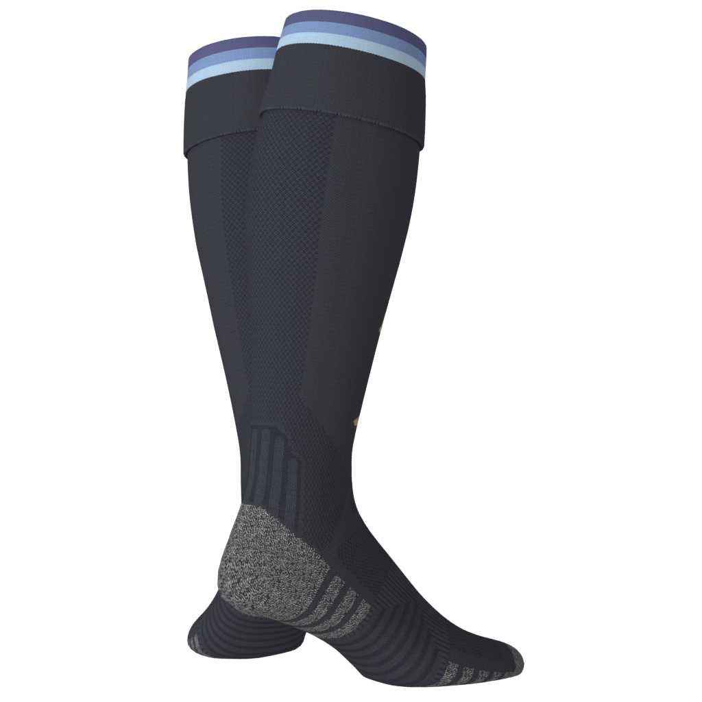 Argentina 26 Home Socks