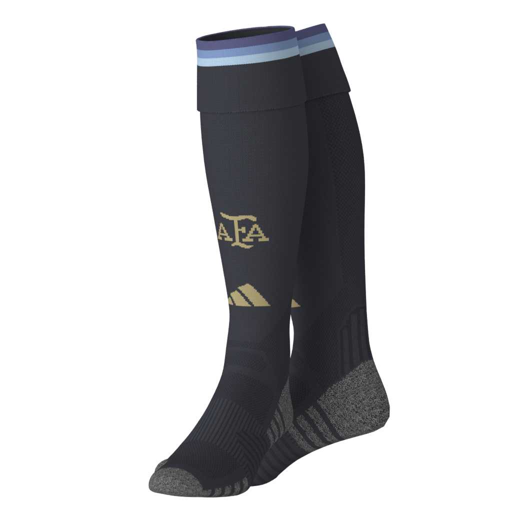 Argentina 26 Home Socks