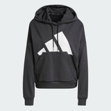 Essentials Big Logo French Terry Loose Hoodie