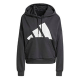 Essentials Big Logo French Terry Loose Hoodie