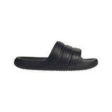 Znsory Slides