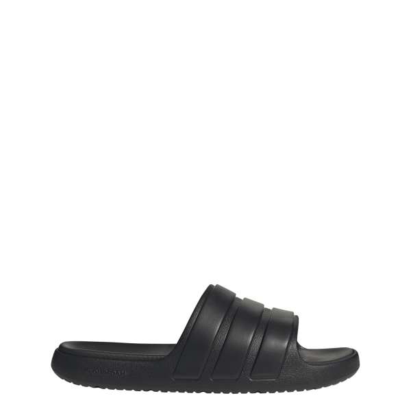 Znsory Slides