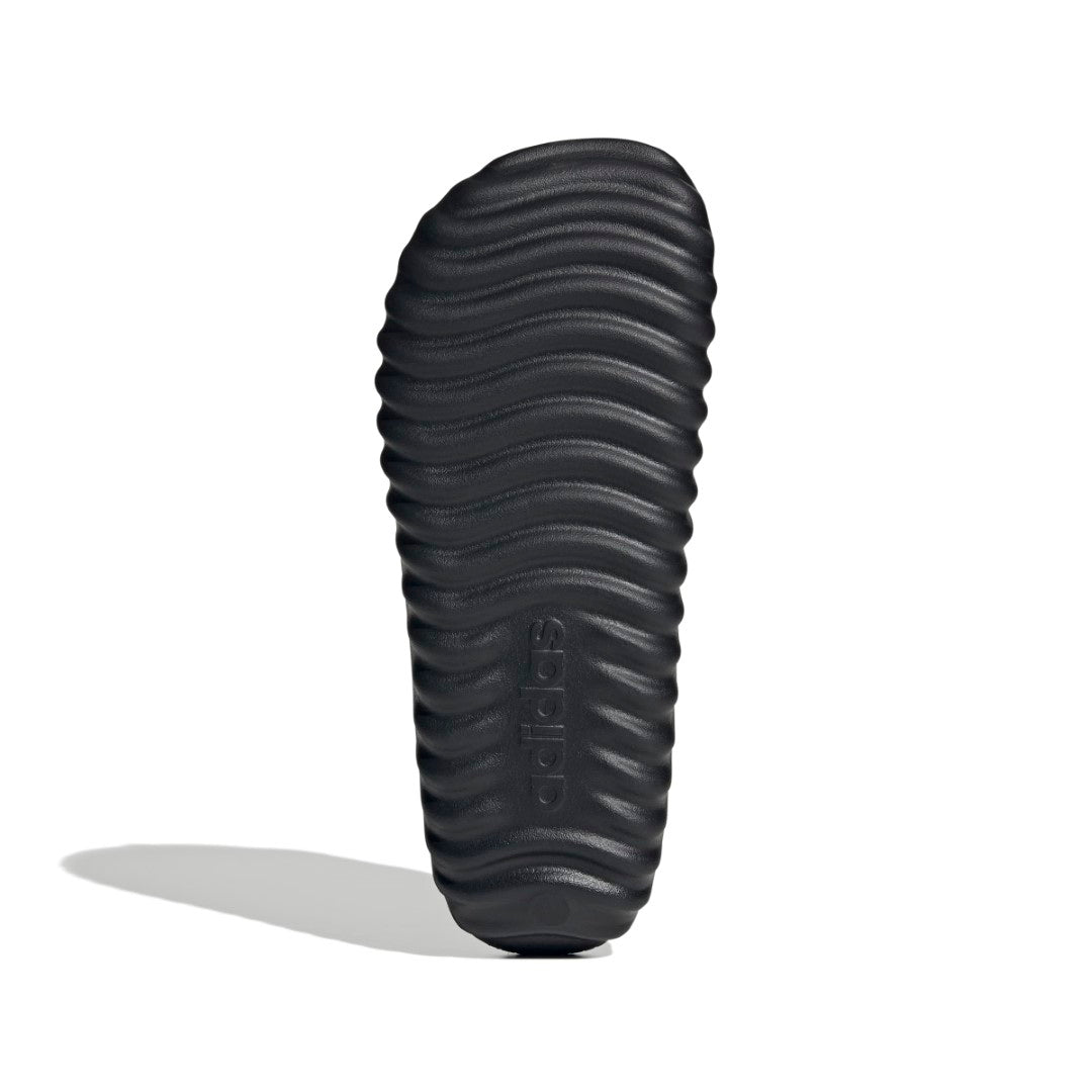 Adissage 360Rec Slides