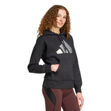 Holiday Metallic Graphic Hoodie