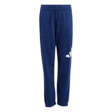 Essentials Joggers Set Kids