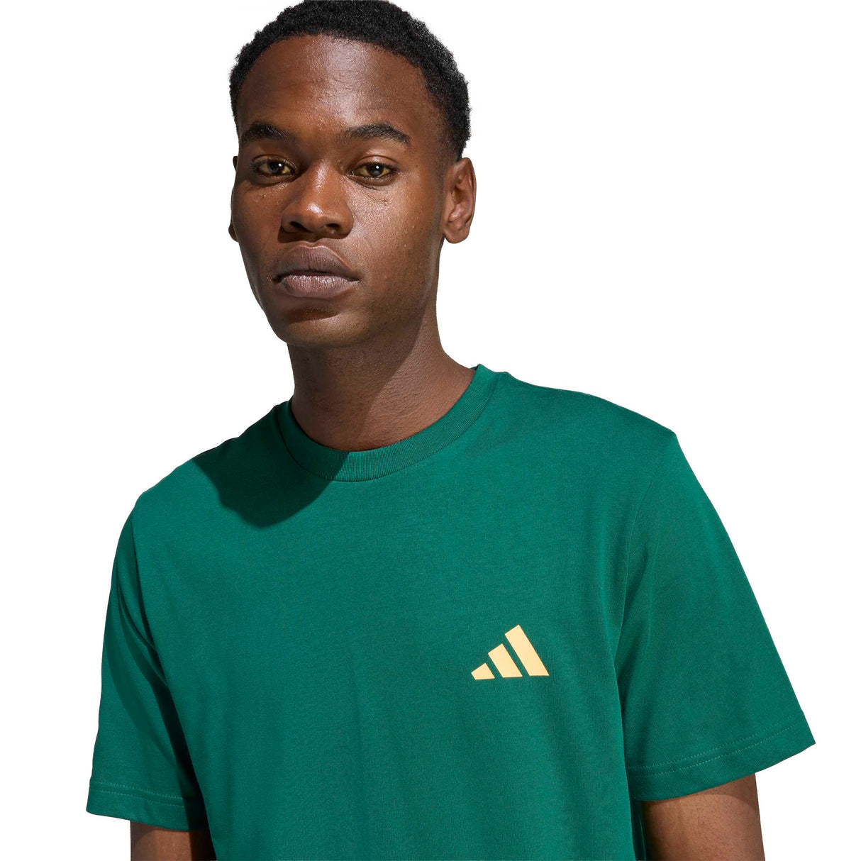 I LIKE THE STRIPES GRAPHIC T-SHIRT